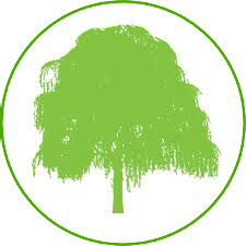 provide the best quality of Grafted plant at reasonable prices