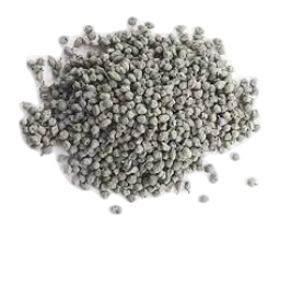 Grafted kair plant at reasonable prices for commercial farming