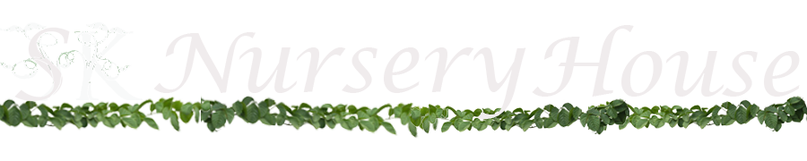 chepest price of thar shobha khejri in Haryana